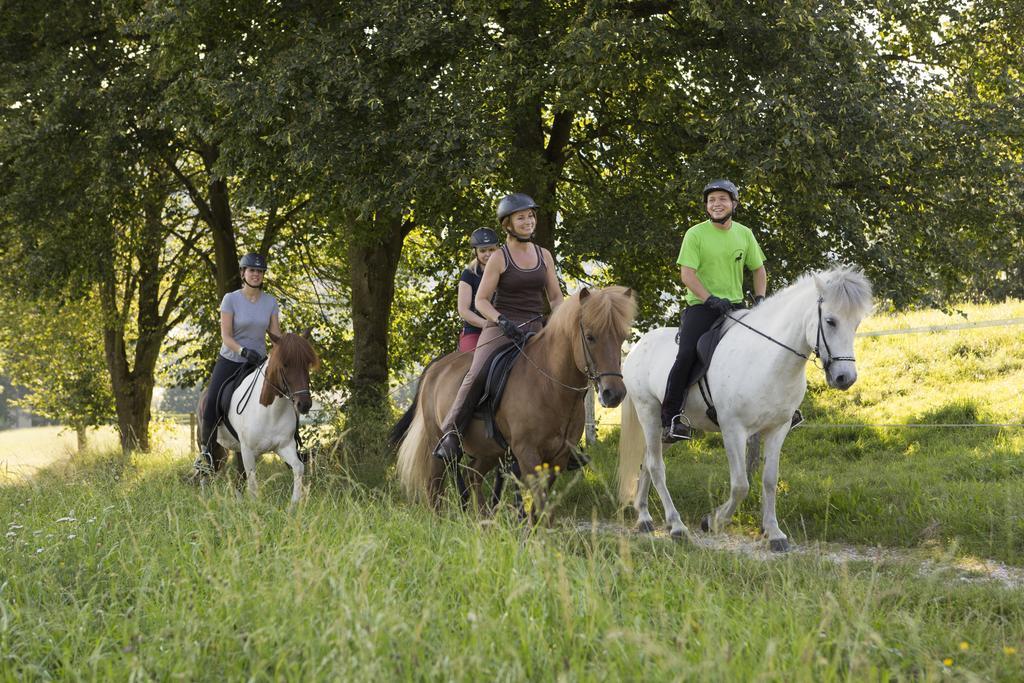Hotel Reitzentrum Hausruckhof Ampflwang im Hausruckwald Zewnętrze zdjęcie