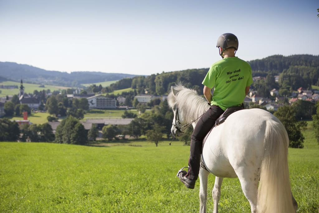Hotel Reitzentrum Hausruckhof Ampflwang im Hausruckwald Zewnętrze zdjęcie